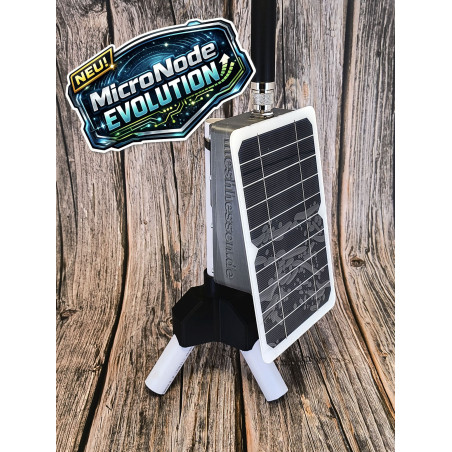 Micro-Node Evolution